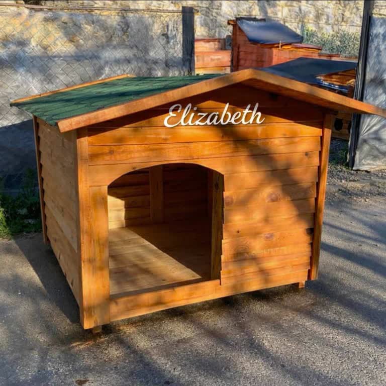 Empati 34 Instagram Sayfasıyla Yanıltıcı Kedi Yuvası Bağışı