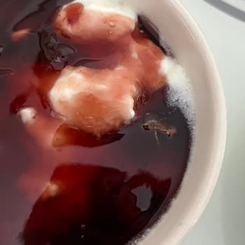 İlkgün Vişne Reçelinde Böcek Tespiti