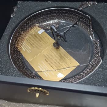 Kırık Tabak Nedeniyle İndirim Hakkı Kaybı Ve Fazla Ödeme