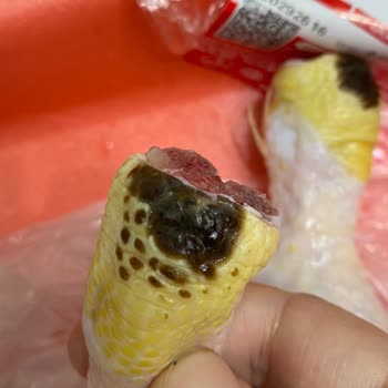 Şenpiliç Baget Tavukta Siyah Lekeler Ve Hijyen Endişesi