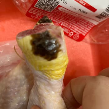 Şenpiliç Baget Tavukta Siyah Lekeler Ve Hijyen Endişesi