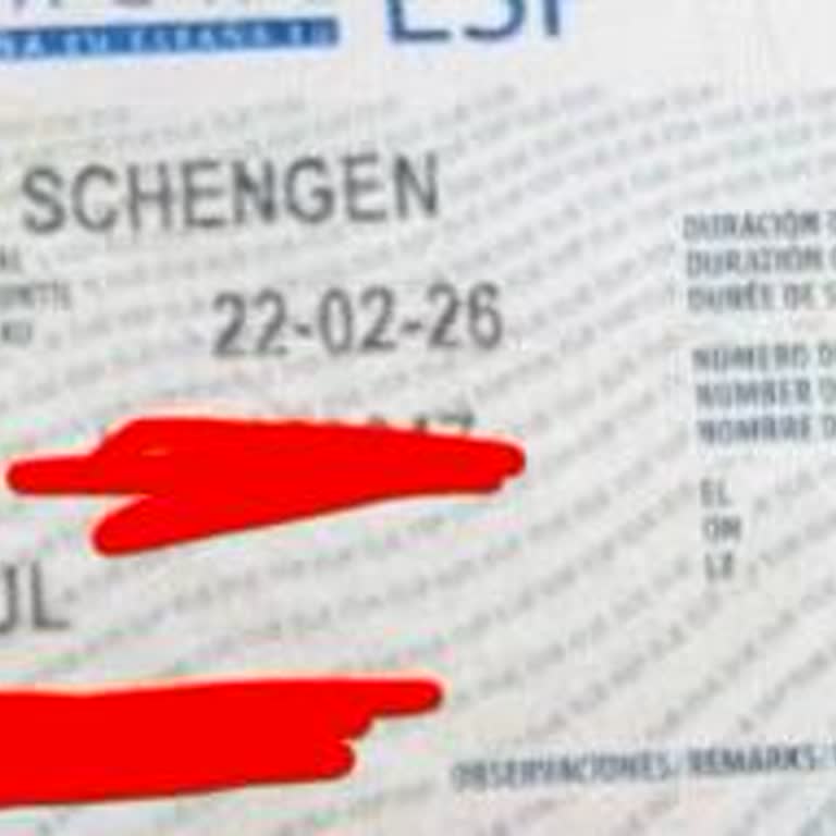 Düzenli Vize Geçmişime Rağmen Tek Girişli Ve 25 Günlük Vize Verilmesi