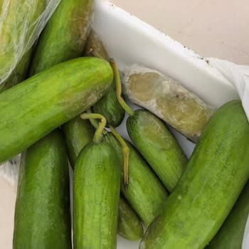 Migros Hemen Siparişindeki Bozulmuş Salata İçin İade Ve Değişim Talebi