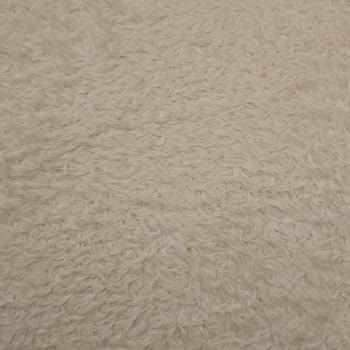 Asya Halı Yıkama (İzmir) Gelen Halı Hem Kirliydi Hem De Halının Tüm Tüyleri Neredeyse Yok Olmuş