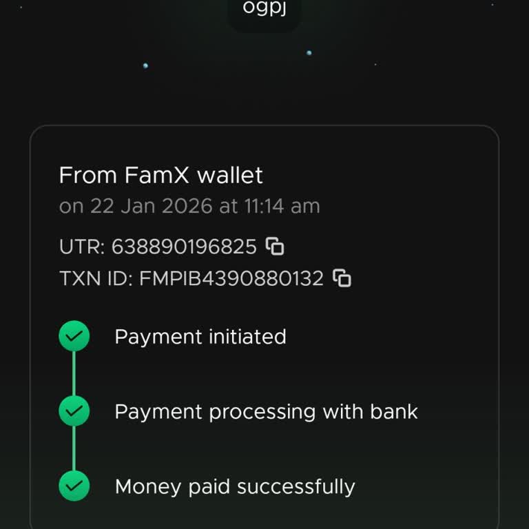 BDG Game Missing Deposit After Successful UPI Payment