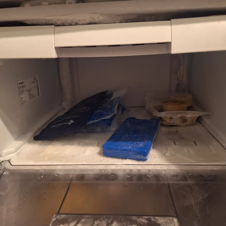 Sürekli Buzlanma Ve Açılmayan Çekmeceler Nedeniyle Derin Dondurucu Değişim İsteği