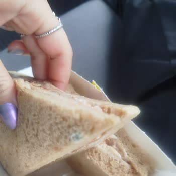 Son Kullanma Tarihi Geçmemiş Dardanel Tavuk Teriyaki Sandviçinde Küf: İade Ve Açıklama Talebi