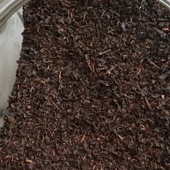 Tirebolu Siyah Çay’da Kötü Tat Ve Rahatsız Edici Koku: Değişim Talebi