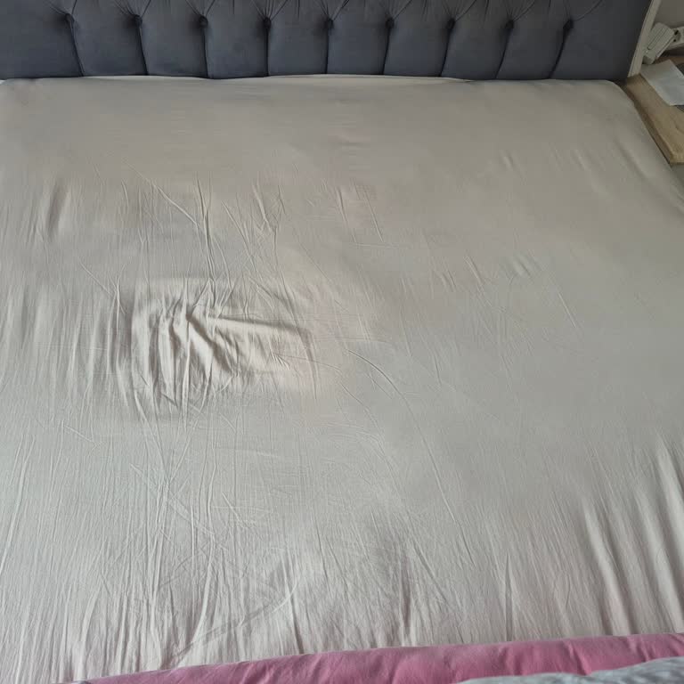 Sığan Yatak Hastalığımı Kötüleştiriyor, Servis Cevapsız