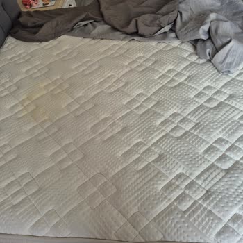 Sığan Yatak Hastalığımı Kötüleştiriyor, Servis Cevapsız