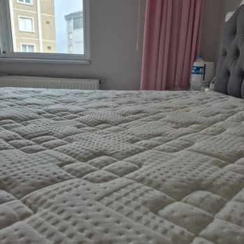 Sığan Yatak Hastalığımı Kötüleştiriyor, Servis Cevapsız