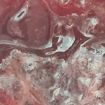 Pol's Gurme Chia Tohumlu Reçeller Küflendi, Sağlık Riski Oluştu