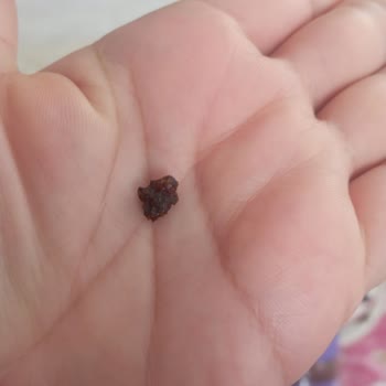 Milka Hazelnut Creme Çikolatasında Yabancı Madde Tespit Edildi