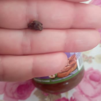 Milka Hazelnut Creme Çikolatasında Yabancı Madde Tespit Edildi