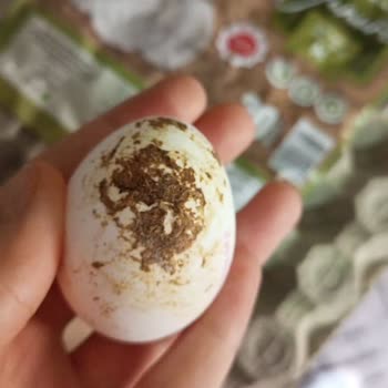 Karton Yumurtalarda Hayvan Dışkısı Tespiti Ve Para İadesi Talebi