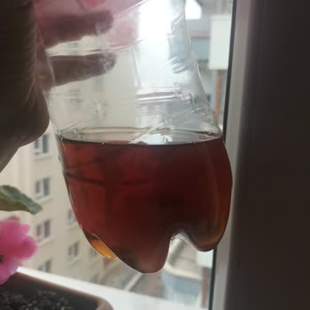 Lipton Ice Tea'da Mantar Ve Küf, Çocuk Sağlığını Tehdit Ediyor