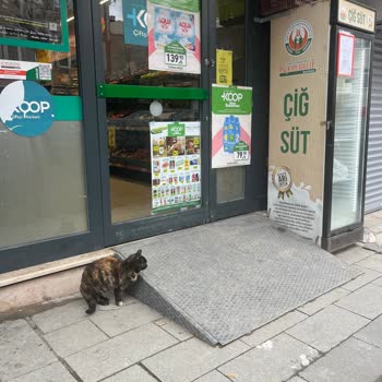 İSKİ Ve Tarım Kredi Market’in Güvenlik İhmali Nedeniyle Kaygan Rampa Kazası