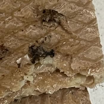 Eti Hoşbeş Muzlu Kremada Çocuk İçin Yabancı Madde Tespit Edildi