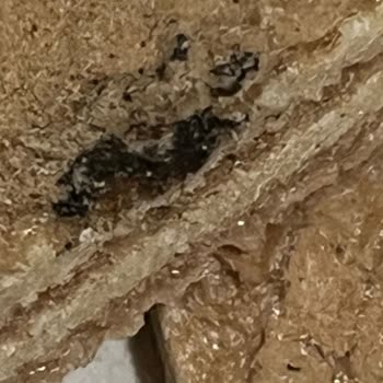 Eti Hoşbeş Muzlu Kremada Çocuk İçin Yabancı Madde Tespit Edildi