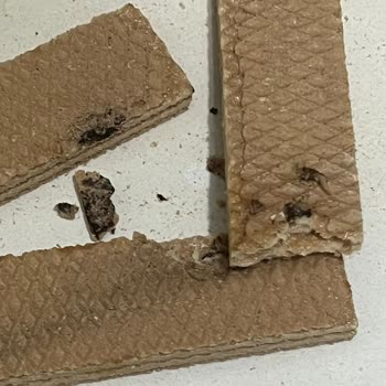 Eti Hoşbeş Muzlu Kremada Çocuk İçin Yabancı Madde Tespit Edildi