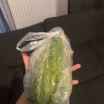 Getir'le Bozuk Domates Ve Marul İçin Ücret İadesi Ve Çözüm Talebi