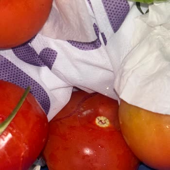 Getir'le Bozuk Domates Ve Marul İçin Ücret İadesi Ve Çözüm Talebi