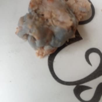 Migros’tan Aldığım Dana Döner Ürününün Küflü Çıkması