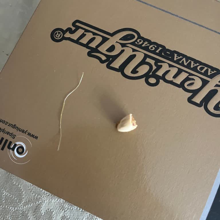 Yeni Uğur Helvacılık Cezeryenin İçinden Fıstık Kabuğu Ve İp Çıktı