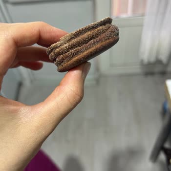 Luppo Sandviç Kakaolu Kekte Sertlik Ve Gıda Güvenliği Sorunu