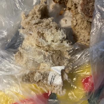 A101 Şubesinde Ekmeğin İçinden Plastik Poşet Çıktı