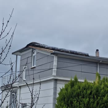 Anadolu Sigorta Çatı Hasarı Onarımında Uzun Gecikme Ve İhmal