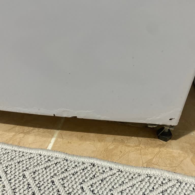 Vestel Buzdolabında Boya Kabarması ve Teknik Arıza Tekrar Çözülmedi