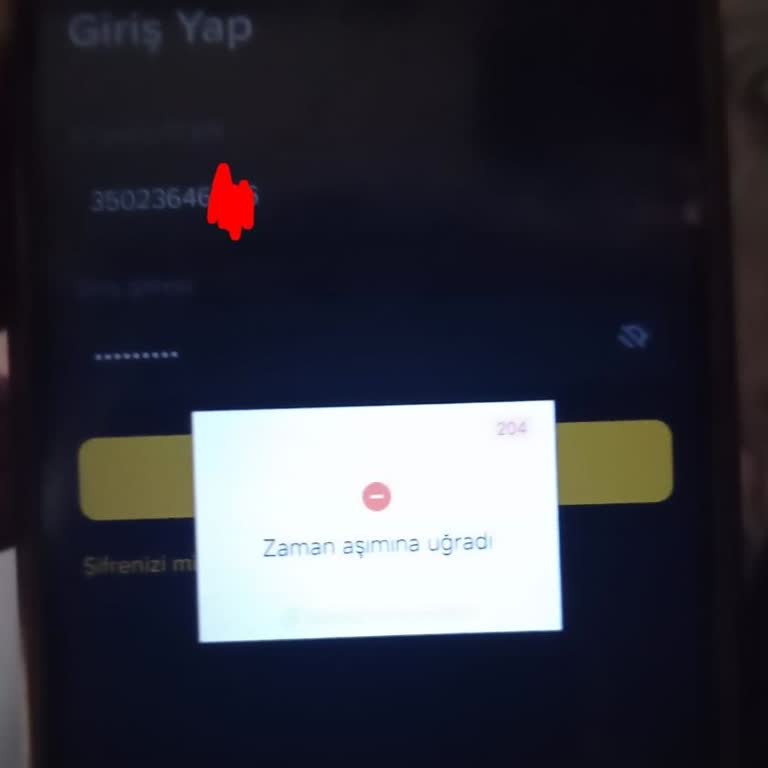 Binance TR Girişi Zaman Aşımı Hatası Nedeniyle 20.000 TL’lik Hesaba Erişilemedi