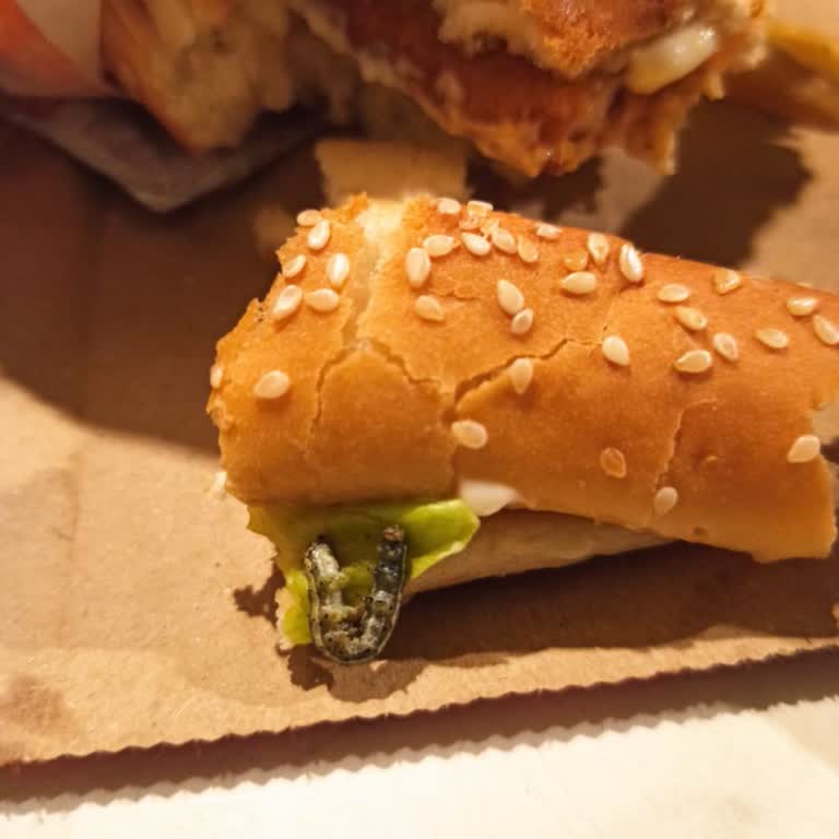 Adana Galeria Burger King Şubesinde Solucanlı Marul Ve Sürekli Sipariş İptalleri