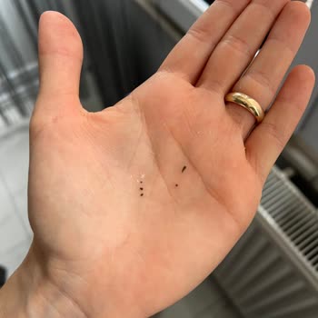 Tekirdağ Ergene A101 Şubesinde TürkŞeker Toz Şekerinde Siyah Yabancı Madde Görüldü