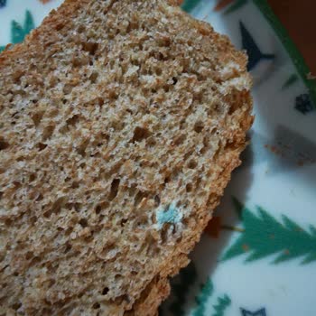 UNO Markasının Süresi Dolmamış Ekşi Mayalı Ekmeğinde Küf Sorunu