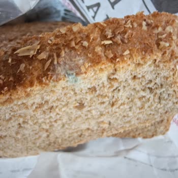 UNO Markasının Süresi Dolmamış Ekşi Mayalı Ekmeğinde Küf Sorunu