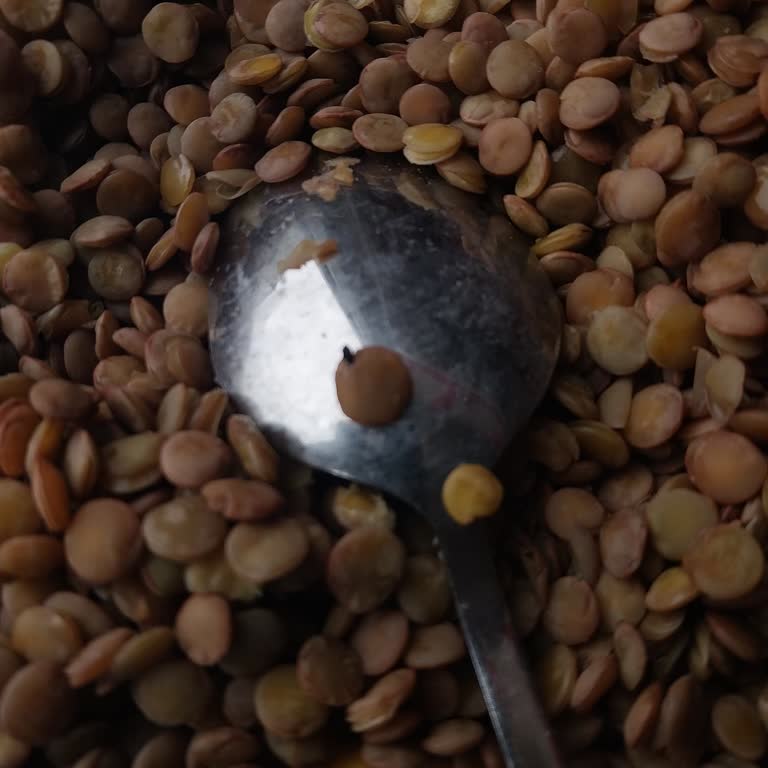 Yeşil Mercimekte Böcekler Çorbayı Çöpe Dönüştürdü