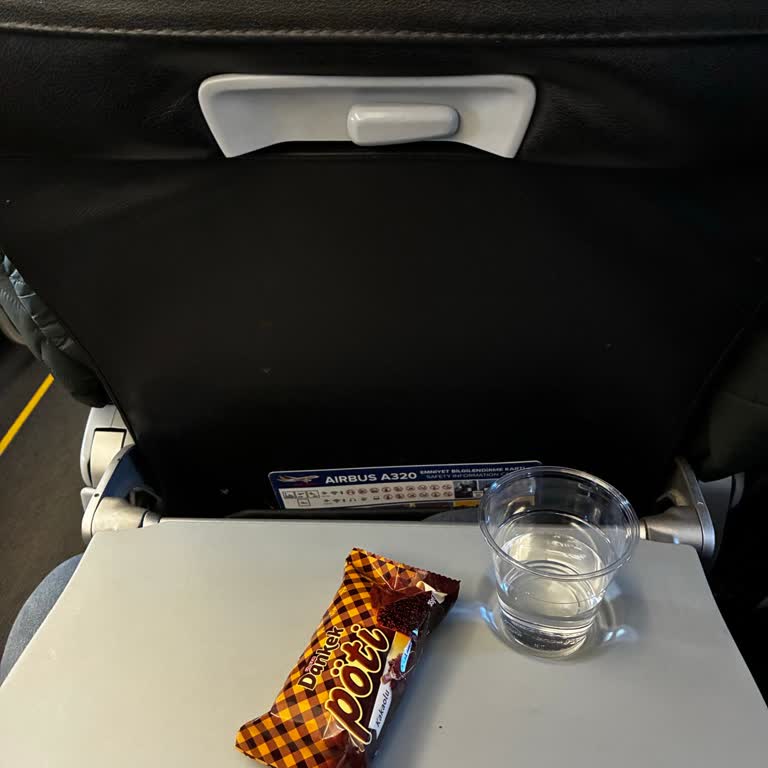 Pegasus Uçuş Gecikmesi Ve Yetersiz Telafi Nedeniyle Bilet İadesi Talebi