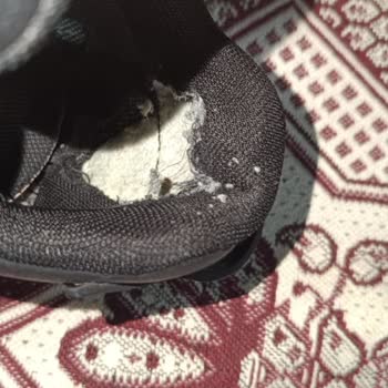 Üç Ayda Topuk Yırtılan FLO Ayakkabıya Garanti Reddi