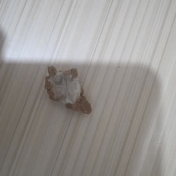 Trendyol'da Bozulmuş Kedi Maması Ve Cevapsız Müşteri Hizmetleri