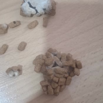 Trendyol'da Bozulmuş Kedi Maması Ve Cevapsız Müşteri Hizmetleri