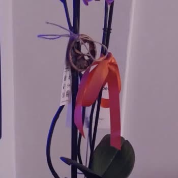 Sağlıksız Çiçek Teslimatı Ve İade Reddi