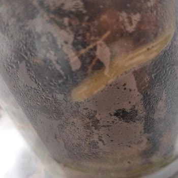 Sağlıksız Çiçek Teslimatı Ve İade Reddi