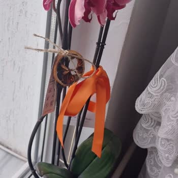 Sağlıksız Çiçek Teslimatı Ve İade Reddi