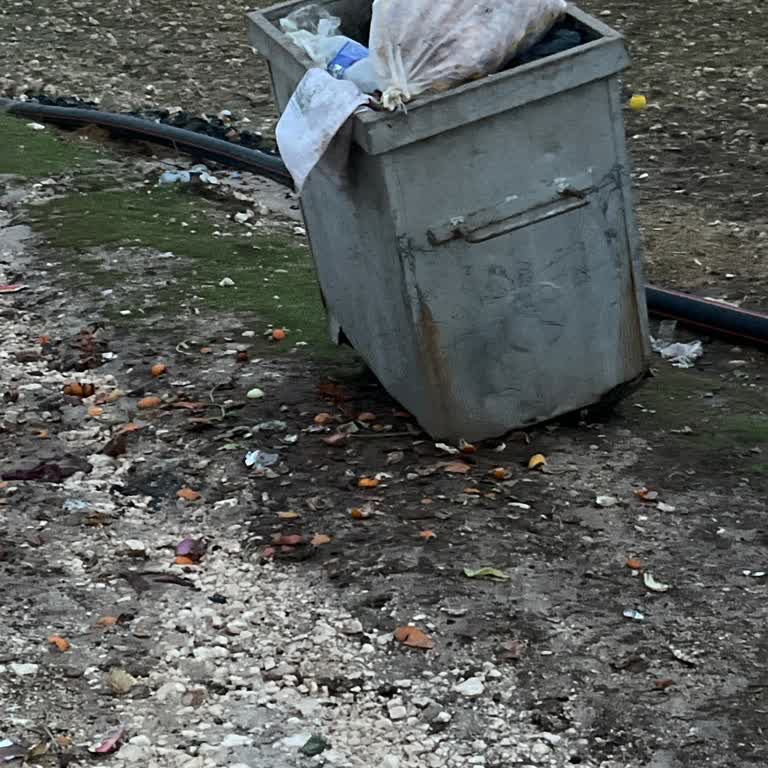 Üçkonak Sokak’ta Çöp Toplama Sıklığı Yetersiz, Hijyen Tehlikede