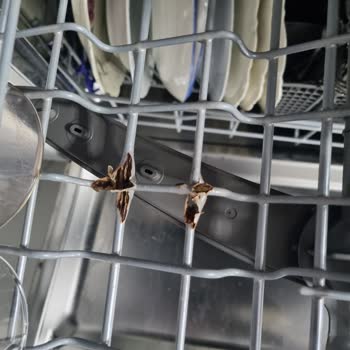 LG D1452CF Bulaşık Makinesi Sepetlerinde Paslanma Ve Yüksek Değişim Maliyeti