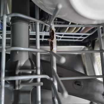 LG D1452CF Bulaşık Makinesi Sepetlerinde Paslanma Ve Yüksek Değişim Maliyeti