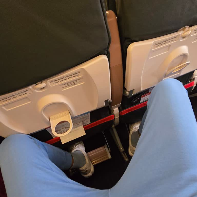 THY Vaat Edilen Business Konforu Yerine Ekonomi Koltuğu