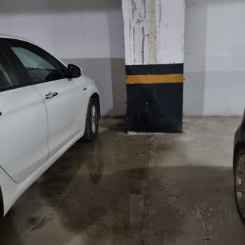 Profesyonel Sökem Site Yönetim Şikayeti